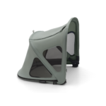 Verde pino
